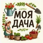 Аватар канала Моя дача