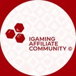 Аватар канала iGaming Affiliate Community l Арбитраж Трафика