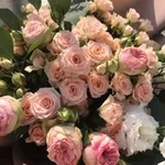 Аватар канала عزلتي 🤍