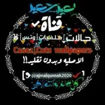 Аватар канала حالات⇣خلفيات┊واتس┊ 🐰 ✨
