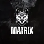 Аватар канала MATRIX 🥇 🇮🇶