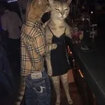 Аватар канала @простойпацан a.k.a DJ TwinBandxz