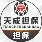 Аватар канала 天成担保真假群验证