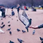 Аватар канала الدنيا لسى بخير 💜