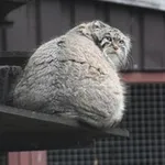 Аватар канала А вы точно продюсер?