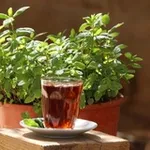 Аватар канала صفـاءُ قلـب 🤍