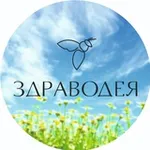 Аватар канала Здраводея