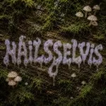 Аватар канала nailsselvis ♻️
