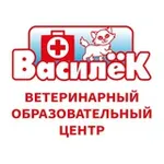 Аватар канала ВАСИЛЁК | Ветшкола