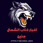 Аватар канала اخبار ذئاب الشمال_جنين ✌️ 🇵🇸