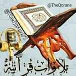 Аватар канала تلاوات قرانيه 🇵🇸