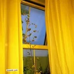 Аватар канала 💜 |℡•-̈ɑ᎗̇ظـٰ̲ـہᓗ⅃