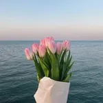 Аватар канала Life 🌿