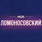 Аватар канала Ломоносовский район Москвы М125