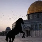 Аватар канала فأعينوني بقوة
