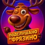Аватар канала Подслушано во Фрязино