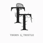 Аватар канала Тёрн | THORN