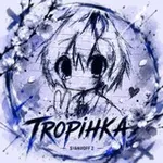 Аватар канала TROPIHKA_so2 | Бусты скинов