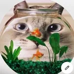 Аватар канала Лапософия