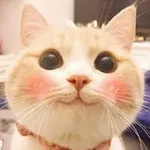 Аватар канала Замурчательно 😼
