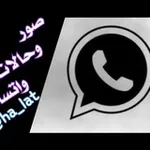 Аватар канала صور و حٌٰـالْٰـWⴼÂͲŚÂᑭᑭـاتّٰـ ♛⇣ 🐰 ☄ ₎