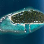 Аватар канала Amilla Maldives 5* (Russia & CIS)
