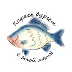 Аватар канала карась дуреет с этой меты