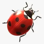 Аватар канала ФСН 🐞 OFFICIAL️