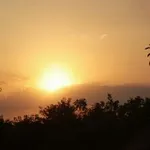 Аватар канала нейроостровок 🌙