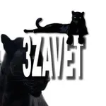 Аватар канала TRETIYZAVET