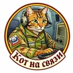 Аватар канала Кот на связи.