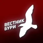 Аватар канала Вестник Бури