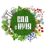 Аватар канала САД С НУЛЯ | Оксана Пискарёва