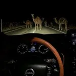 Аватар канала - ﮼خَاطِرة .