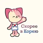 Аватар канала Скорее в Корею 🇰🇷