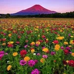 Аватар канала تأملات 🖼 Reflections