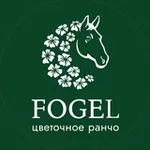 Аватар канала Цветочное ранчо Fogel