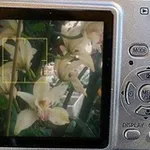 Аватар канала простые фотографии confession 📷