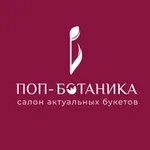 Аватар канала ПОП-БОТАНИКА