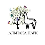 Аватар канала Альпака Парк