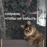 Аватар канала сохрани, чтобы не забыть