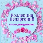 Аватар канала Коллекция Пеларгоний Наталии