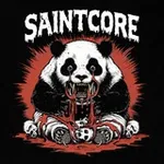 Аватар канала SAINTCORE - SPB HC GIGS