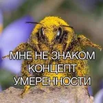 Аватар канала Сумасшедший дом