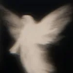 Аватар канала بِلا عِنوَان