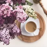 Аватар канала 🌸 BLOOMING HOME 🌸