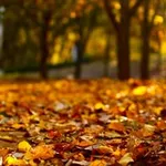 Аватар канала إحساس خريفي 🍁 🍂