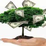 Аватар канала На пассивный доход за 2 года 💵