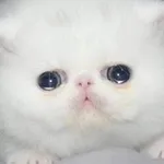 Аватар канала Бывший