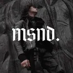Аватар канала msnd.